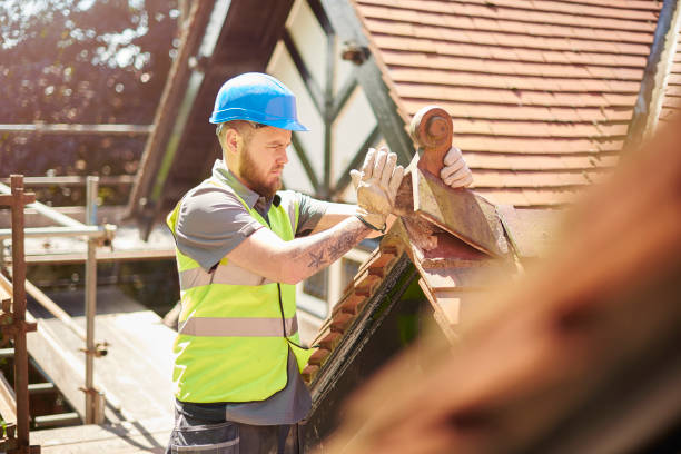 Best Roof Repair Specialists  in Terrytown, LA
